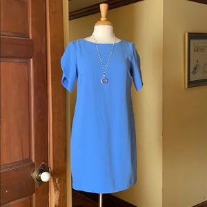 French Connection Carolina Blue dress